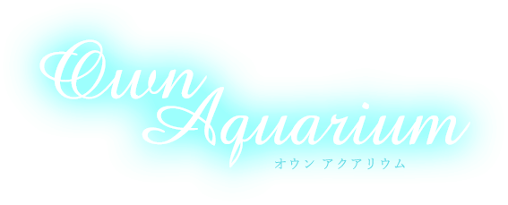 Own Aquarium オウン アクアリウム