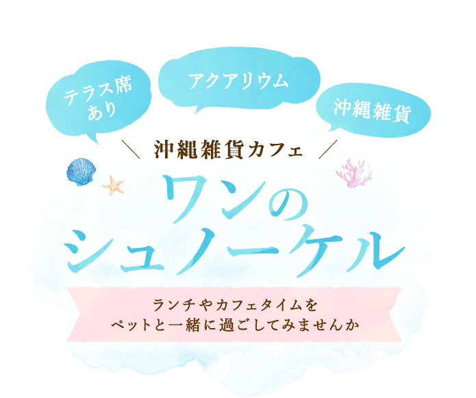 テラス席あり アクアリウム 沖縄雑貨 ＼ 沖縄雑貨カフェ ／ ワンのシュノーケル ランチやカフェタイムをペットと一緒に過ごしてみませんか